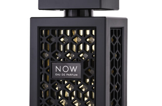 (plu00012) - Apa de Parfum Now, Rave, Barbati - 100ml