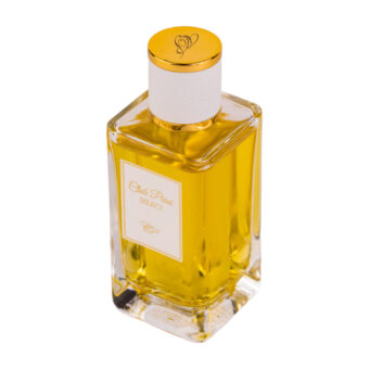 (plu05174) - Apa de Parfum Club Prive Select, Dina Cosmetics, Barbati - 100ml