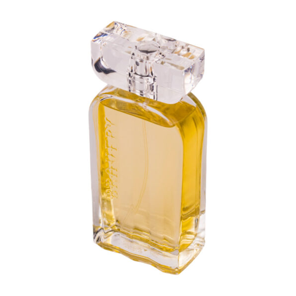(plu05172) - Apa de Parfum Bravery For Ever, Dina Cosmetics, Barbati - 100ml