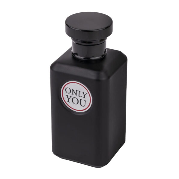 (plu05209) - Apa de Toaleta Only You Black, New Brand Prestige, Barbati - 100ml