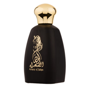 (plu01487) - Apa de Parfum Ameer Al Sahra, Athoor al Alam, Femei - 100ml