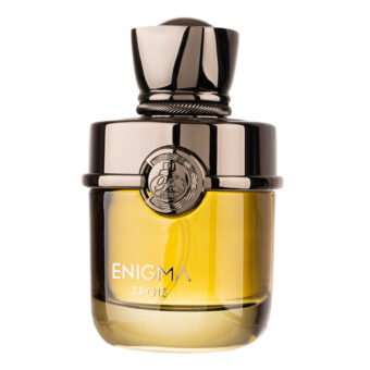 (plu01671) - Apa De Parfum Enigma Trois, French Avenue, Barbati - 100ml