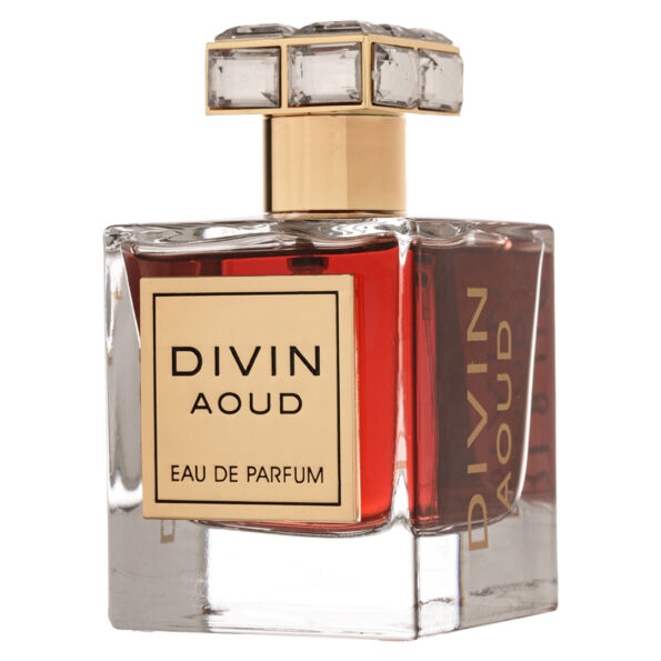 (plu00899) - Apa de Parfum Divin Aoud, French Avenue, Unisex - 100ml
