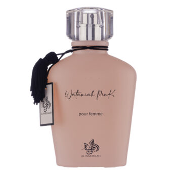(plu00902) - Apa de Parfum Olfactory Bonfire, Fragrance World, Unisex - 100ml